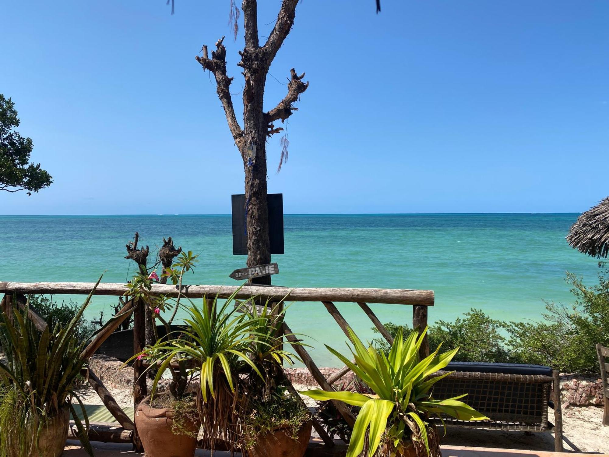 Mbuyuni Beach Village Jambiani  Εξωτερικό φωτογραφία